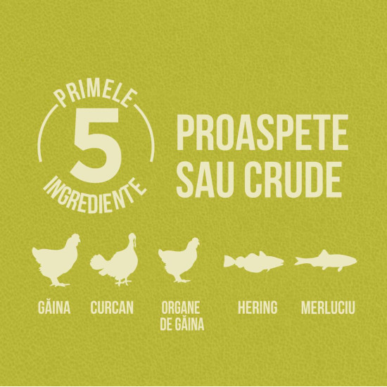 ORIJEN Senior – hrană uscată fără cereale pentru câini vârstnici, 11,4 kg